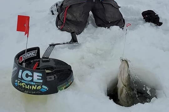 I Fish Pro - Ice Fishing Tip Up